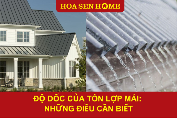 do-doc-cua-ton-lop-mai-nhung-dieu-can-biet