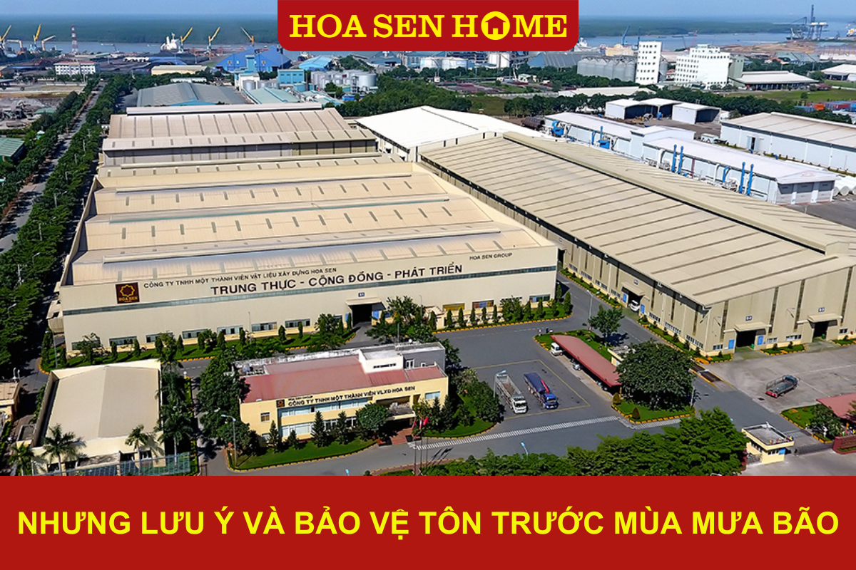 nhung-luu-y-va-bao-ve-ton-truoc-mua-mua-bao