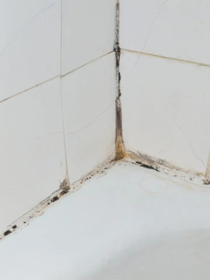 gạch lát nền chống thấm